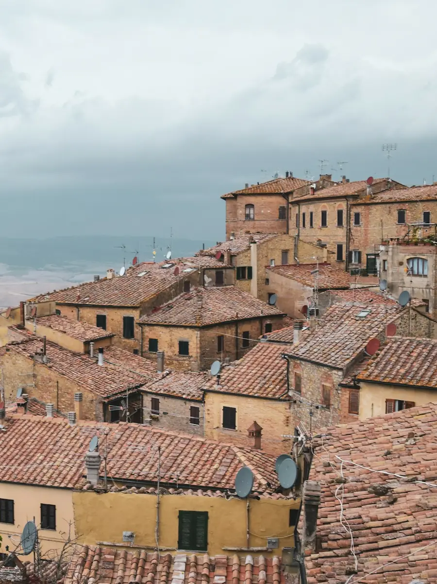 Tetti di Volterra con la campagna e le balze sullo sfondo